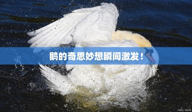 鹅的奇思妙想瞬间激发!