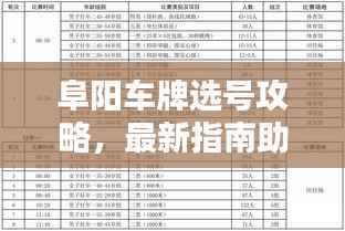 阜阳车牌选号攻略,最新指南助你轻松选号!