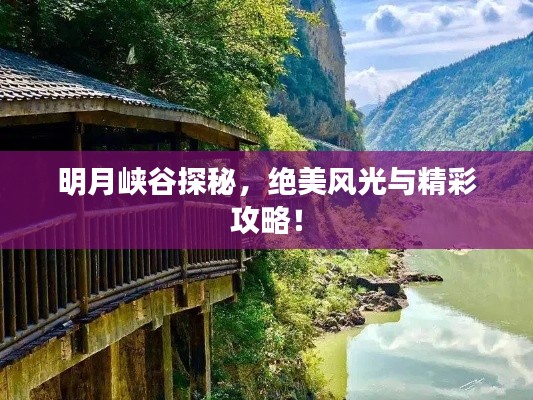 避难就易 第2页
