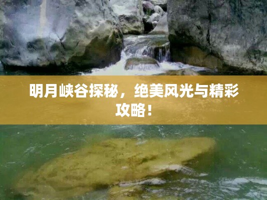 明月峡谷探秘,绝美风光与精彩攻略!