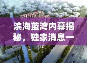 滨海蓝湾内幕揭秘，独家消息一网打尽