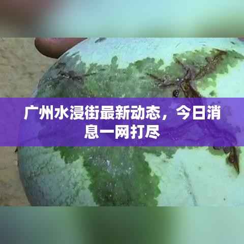 关于我们 第156页