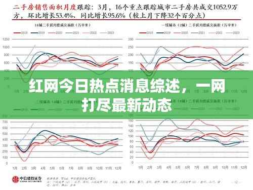 红网今日热点消息综述，一网打尽最新动态