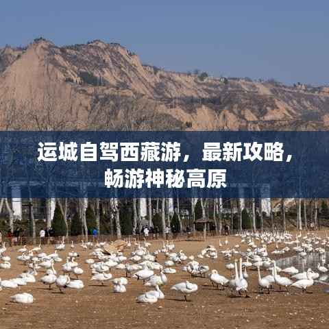 运城自驾西藏游,最新攻略,畅游神秘高原
