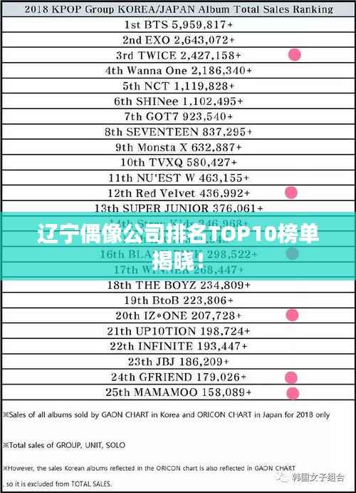 辽宁偶像公司排名TOP10榜单揭晓!