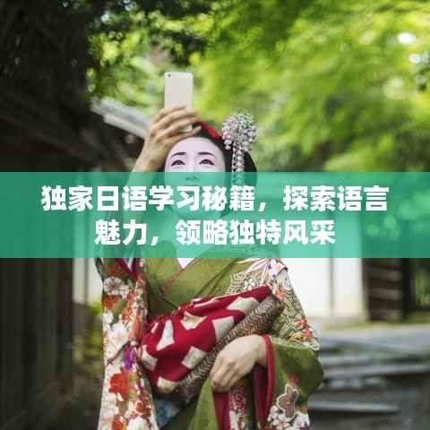 独家日语学习秘籍，探索语言魅力，领略独特风采