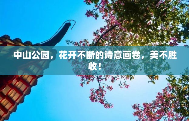 中山公园，花开不断的诗意画卷，美不胜收！