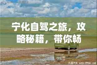 倦鸟思归 第2页