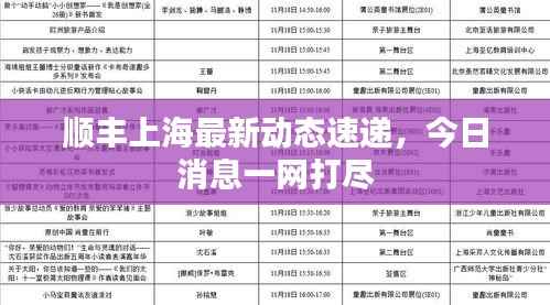 顺丰上海最新动态速递,今日消息一网打尽