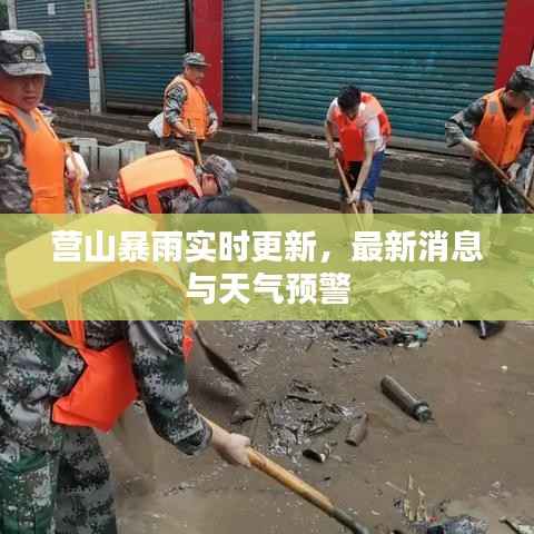 营山暴雨实时更新,最新消息与天气预警