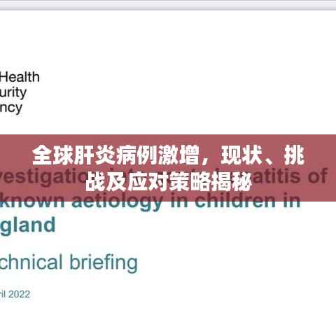 全球肝炎病例激增，现状、挑战及应对策略揭秘