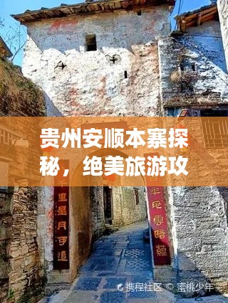 笼鸟槛猿 第2页