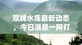 双牌水库最新动态,今日消息一网打尽