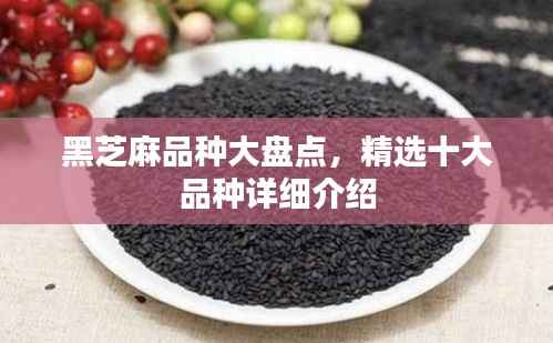 黑芝麻品种大盘点,精选十大品种详细介绍
