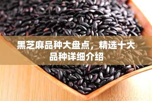 黑芝麻品种大盘点,精选十大品种详细介绍