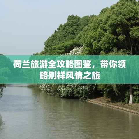 荷兰旅游全攻略图鉴,带你领略别样风情之旅