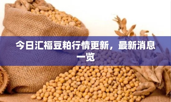 今日汇福豆粕行情更新,最新消息一览