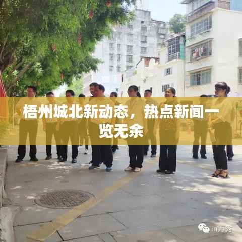 梧州城北新动态,热点新闻一览无余