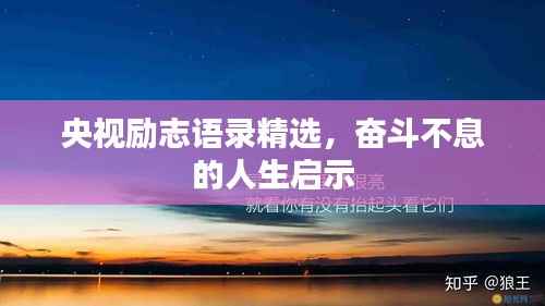 央视励志语录精选，奋斗不息的人生启示