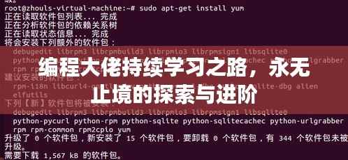 编程大佬持续学习之路,永无止境的探索与进阶