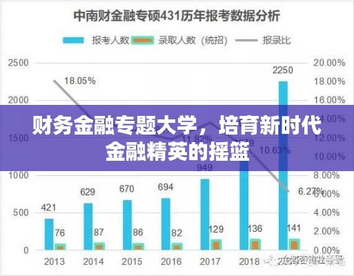财务金融专题大学,培育新时代金融精英的摇篮