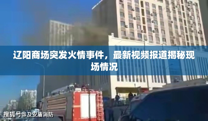 辽阳商场突发火情事件,最新视频报道揭秘现场情况