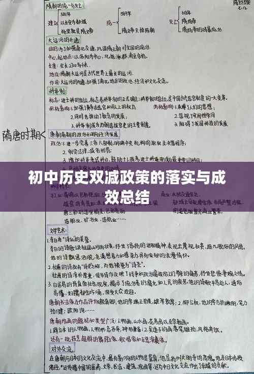 初中历史双减政策的落实与成效总结