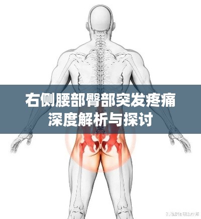 右侧腰部臀部突发疼痛深度解析与探讨