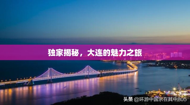勤勤恳恳 第2页