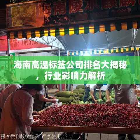 海南高温标签公司排名大揭秘,行业影响力解析