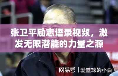 张卫平励志语录视频,激发无限潜能的力量之源