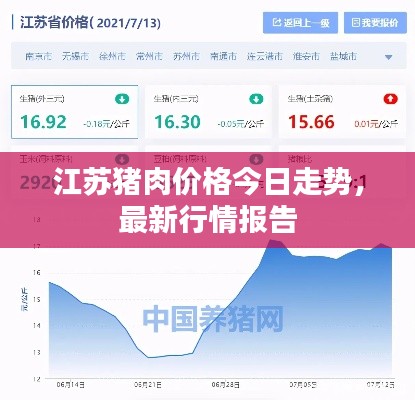 江苏猪肉价格今日走势，最新行情报告