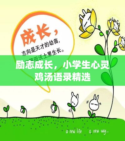 眼张失道 第2页