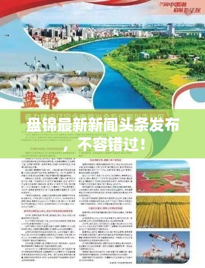 盘锦最新新闻头条发布，不容错过！