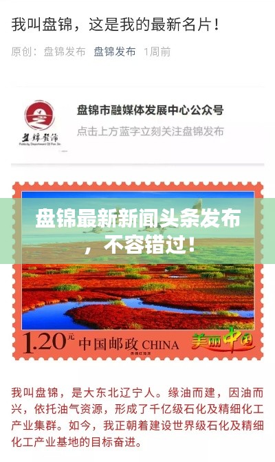 盘锦最新新闻头条发布,不容错过!