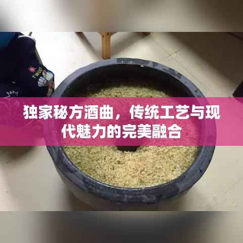 夫贵妻荣 第2页