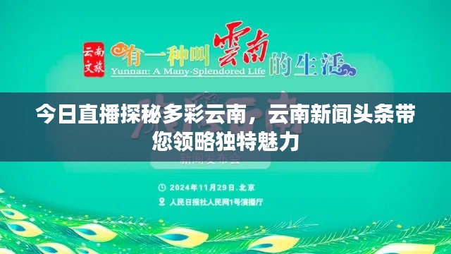 今日直播探秘多彩云南,云南新闻头条带您领略独特魅力