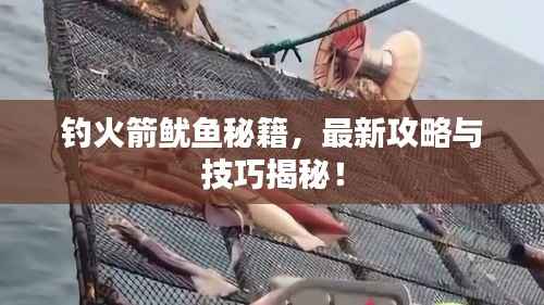 关于我们 第124页