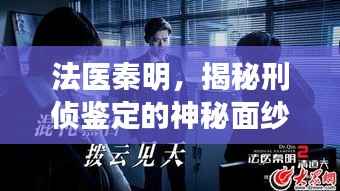 法医秦明,揭秘刑侦鉴定的神秘面纱!
