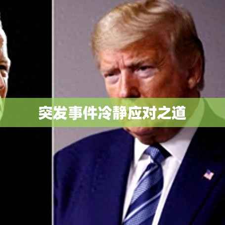 突发事件冷静应对之道