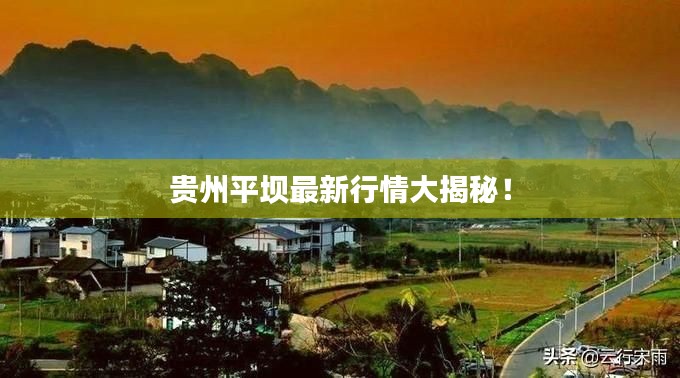 贵州平坝最新行情大揭秘!