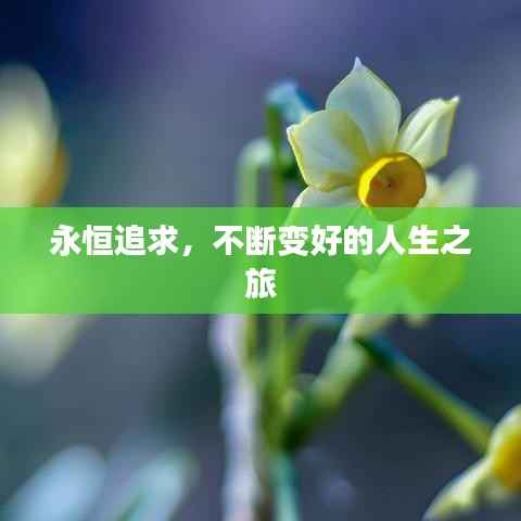 永恒追求，不断变好的人生之旅