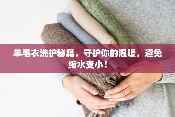 羊毛衣洗护秘籍,守护你的温暖,避免缩水变小!