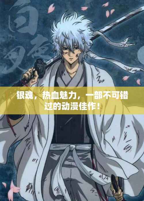 银魂,热血魅力,一部不可错过的动漫佳作!