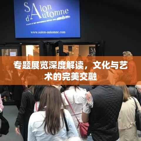 专题展览深度解读,文化与艺术的完美交融