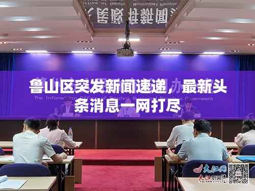 鲁山区突发新闻速递，最新头条消息一网打尽