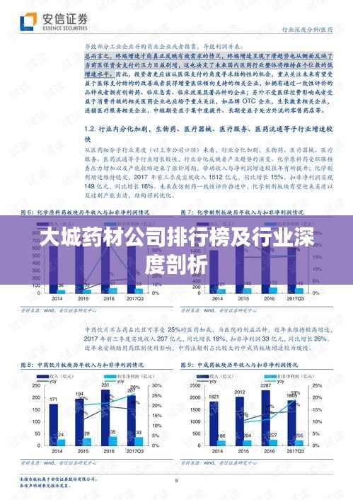 大城药材公司排行榜及行业深度剖析