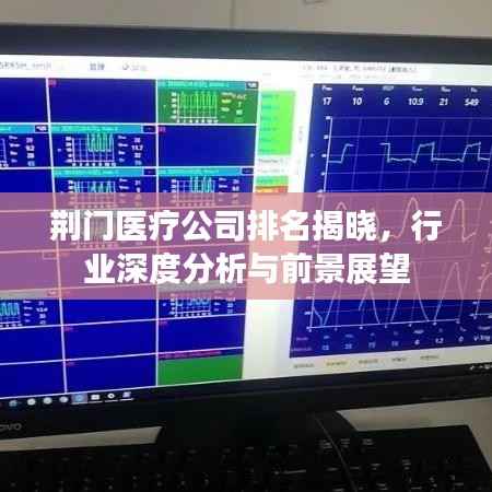 荆门医疗公司排名揭晓,行业深度分析与前景展望