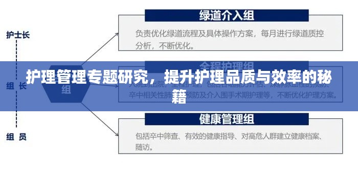 护理管理专题研究,提升护理品质与效率的秘籍