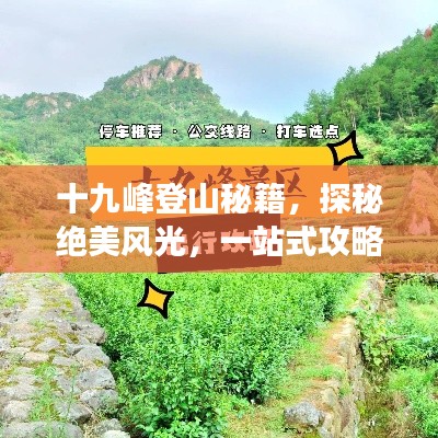 十九峰登山秘籍,探秘绝美风光,一站式攻略助你畅游!